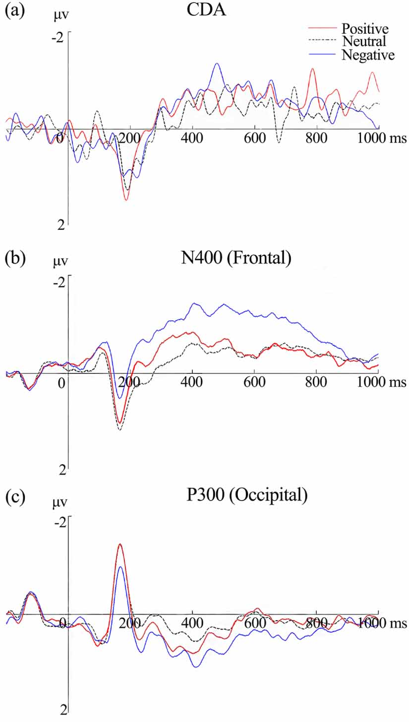Spatiotemporal dynamics of working memory under the influence of ...