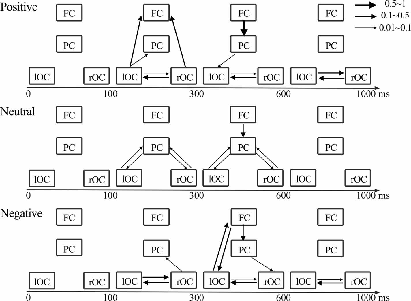 Spatiotemporal dynamics of working memory under the influence of ...