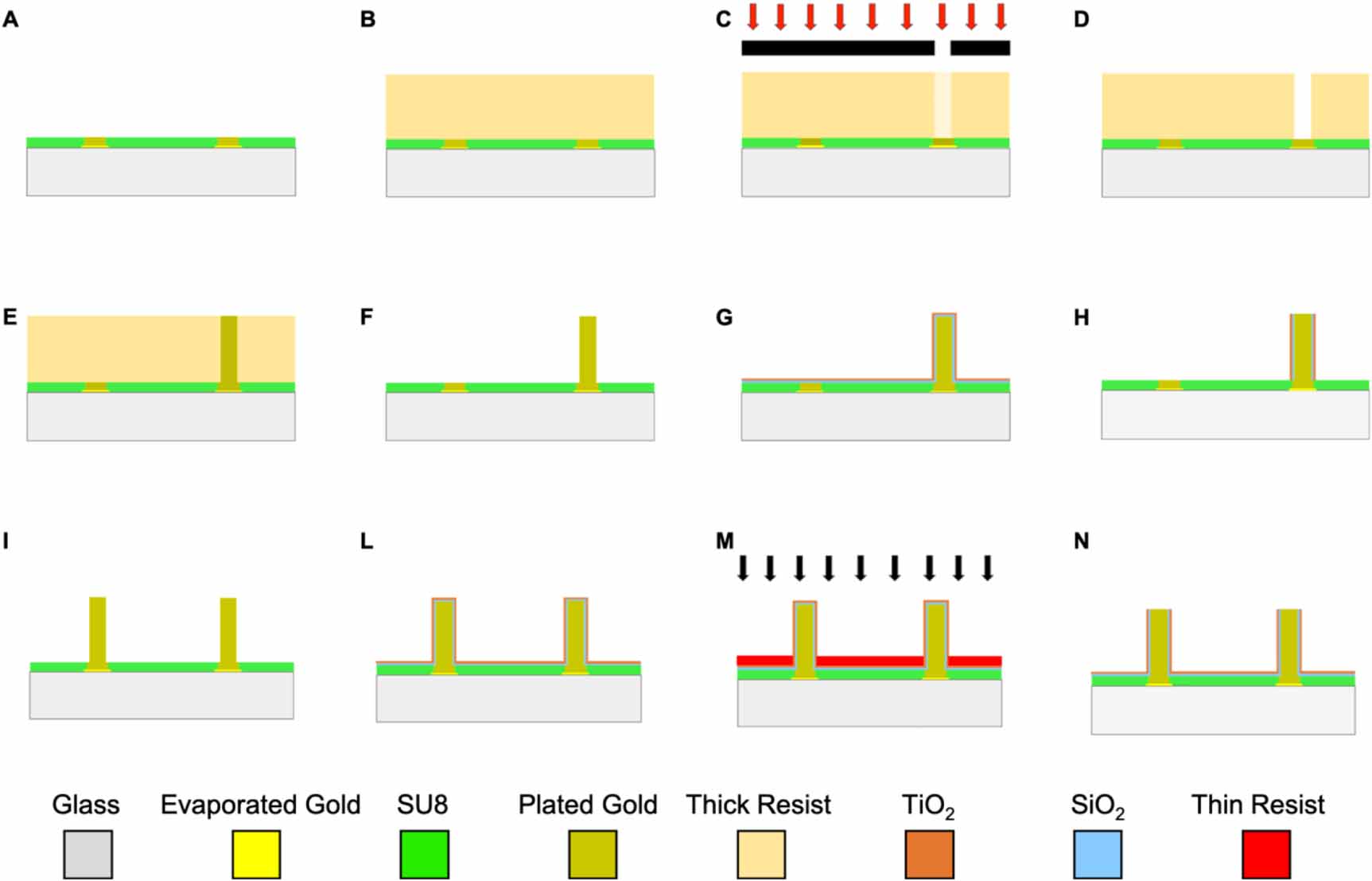 Electrode Microarray A three-dimensional micro-electrode array for in-vitro neuronal ...