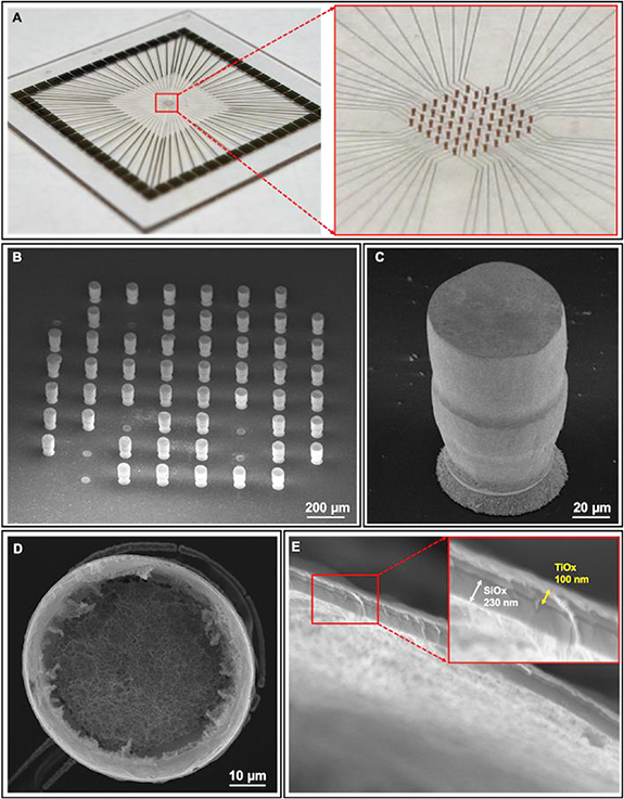 A three-dimensional micro-electrode array for in-vitro neuronal ...