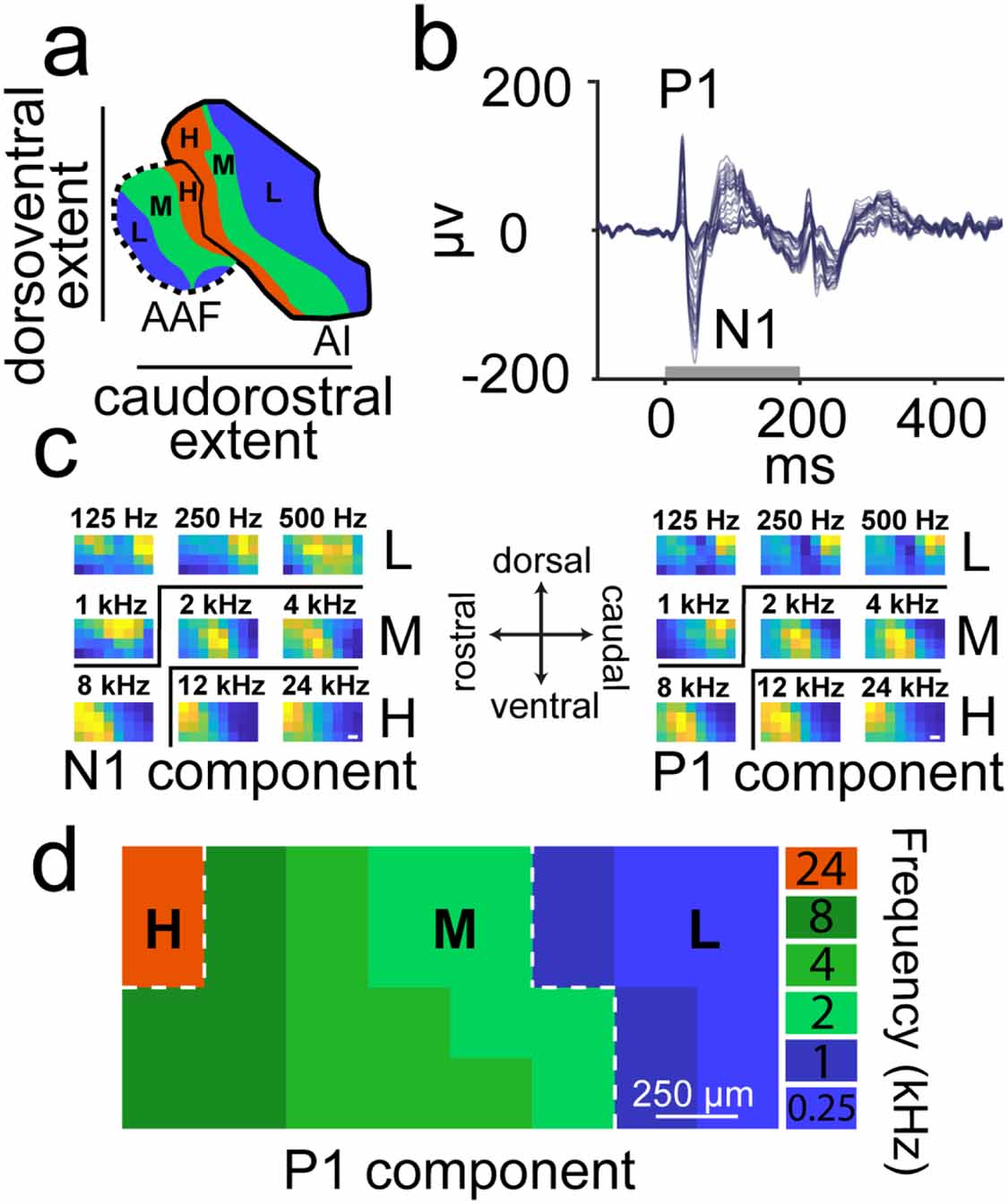 An optically transparent multi-electrode array for combined ...