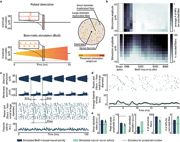 A biomimetic electrical stimulation strategy to induce asynchronous ...