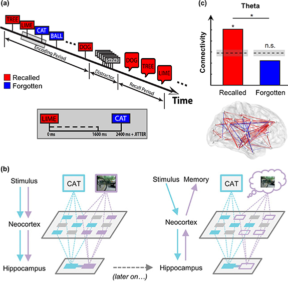 Insights into human cognition from intracranial EEG: A review of ...