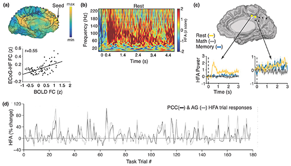 Insights into human cognition from intracranial EEG: A review of ...