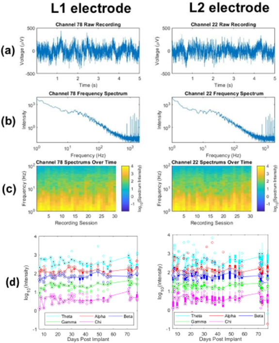 A soft and stretchable bilayer electrode array with independent ...