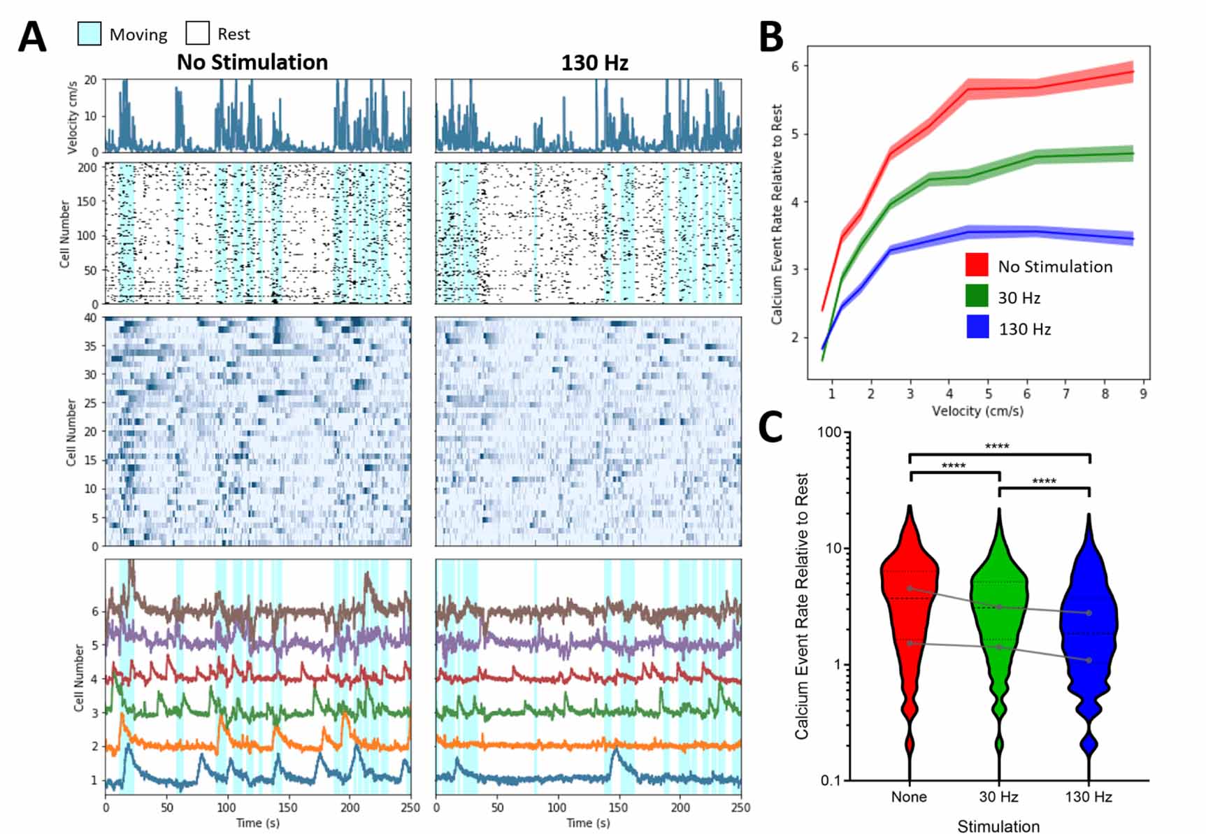 Calcium imaging in freely moving mice during electrical stimulation of ...
