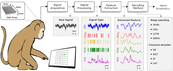 Robust and accurate decoding of hand kinematics from entire spiking ...