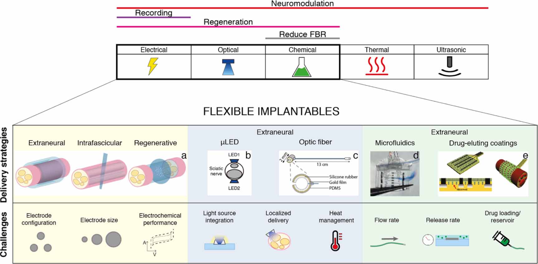 Compliant peripheral nerve interfaces - IOPscience