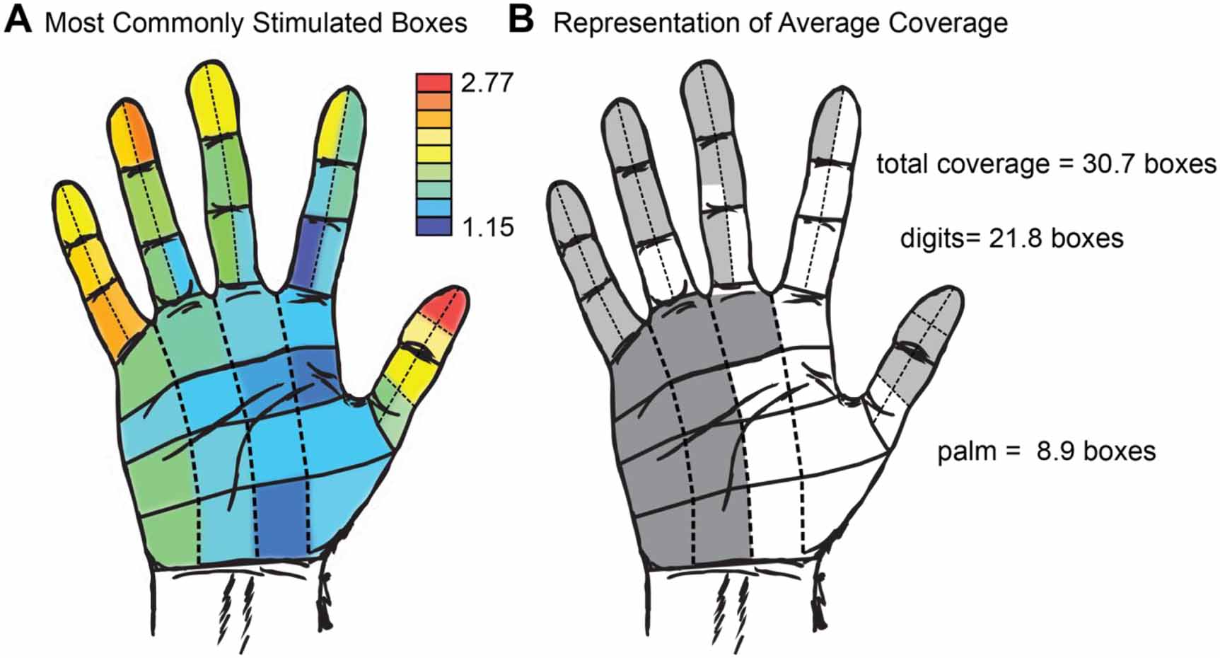 Mapping of primary somatosensory cortex of the hand area using a high ...