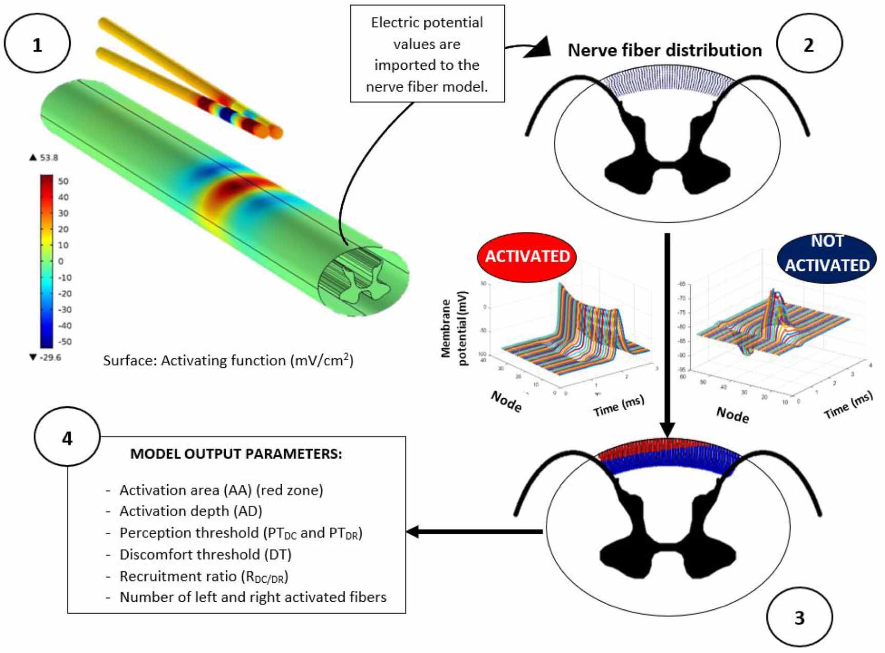 3D patient-specific spinal cord computational model for SCS management ...
