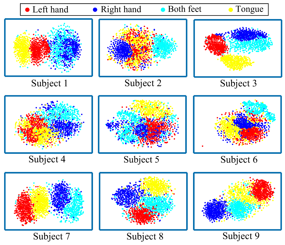 A novel motor imagery EEG decoding method based on feature separation ...