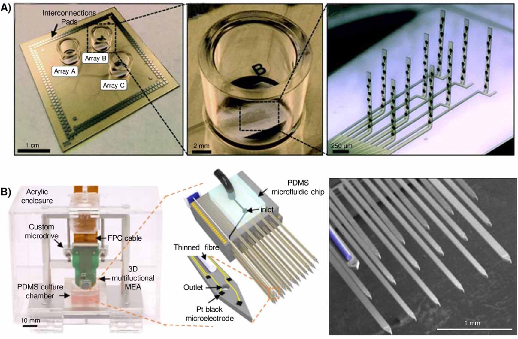 On the road to the brain-on-a-chip: a review on strategies, methods ...