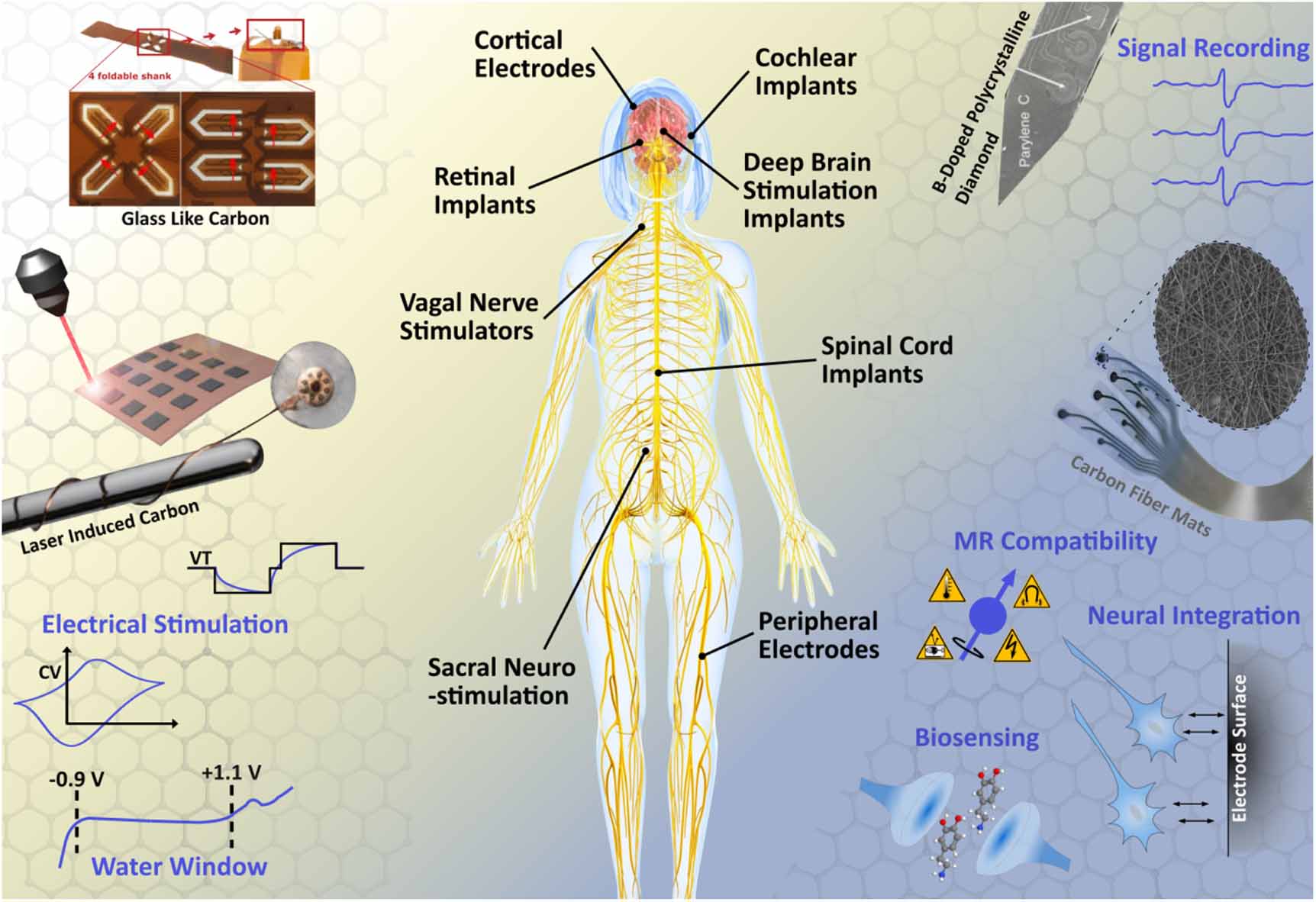 Carbon-based neural electrodes: promises and challenges - IOPscience
