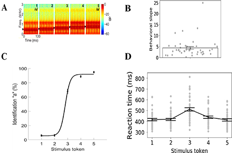 Data-driven machine learning models for decoding speech categorization ...