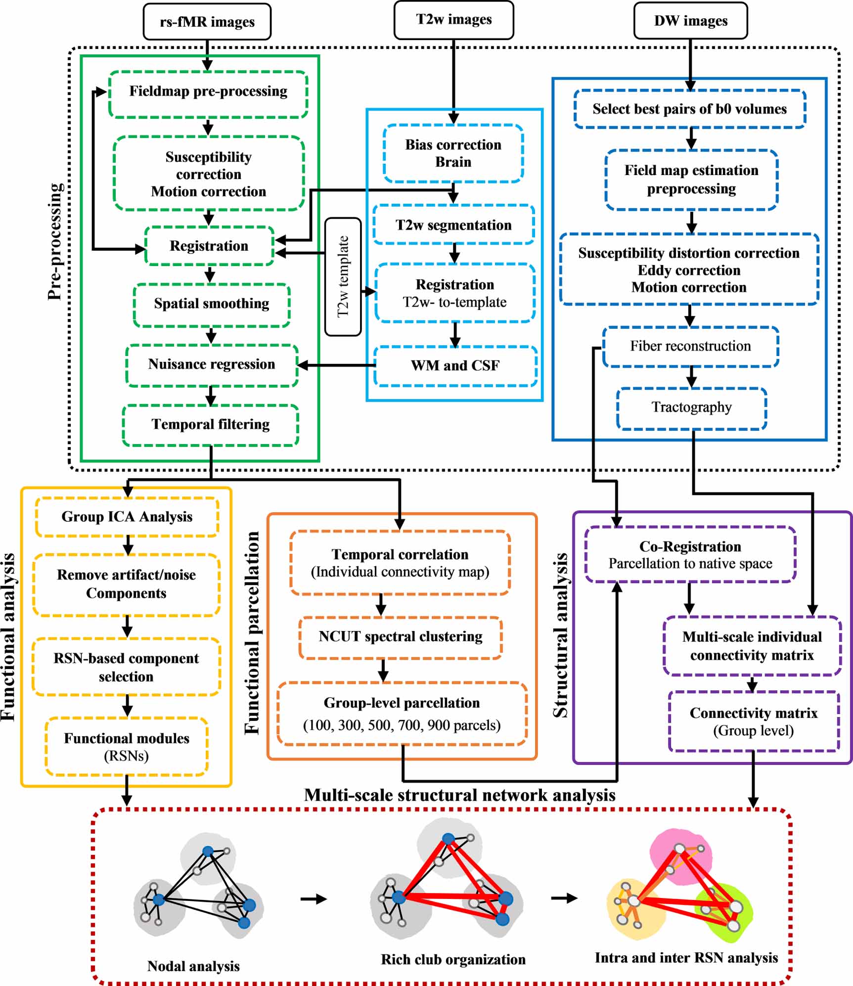 Multi-scale structural rich-club organization of the brain in full-term ...