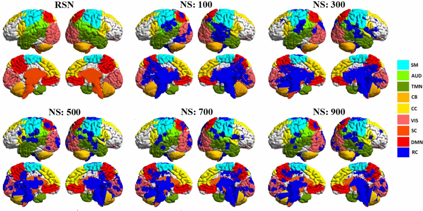 Multi-scale structural rich-club organization of the brain in full-term ...
