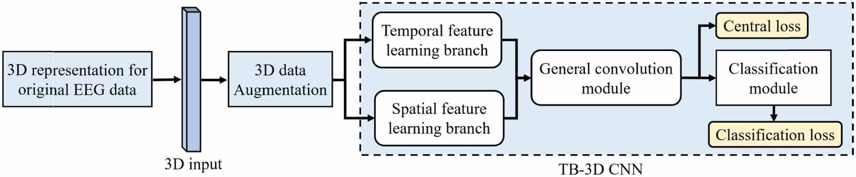 Two-branch 3D convolutional neural network for motor imagery EEG ...