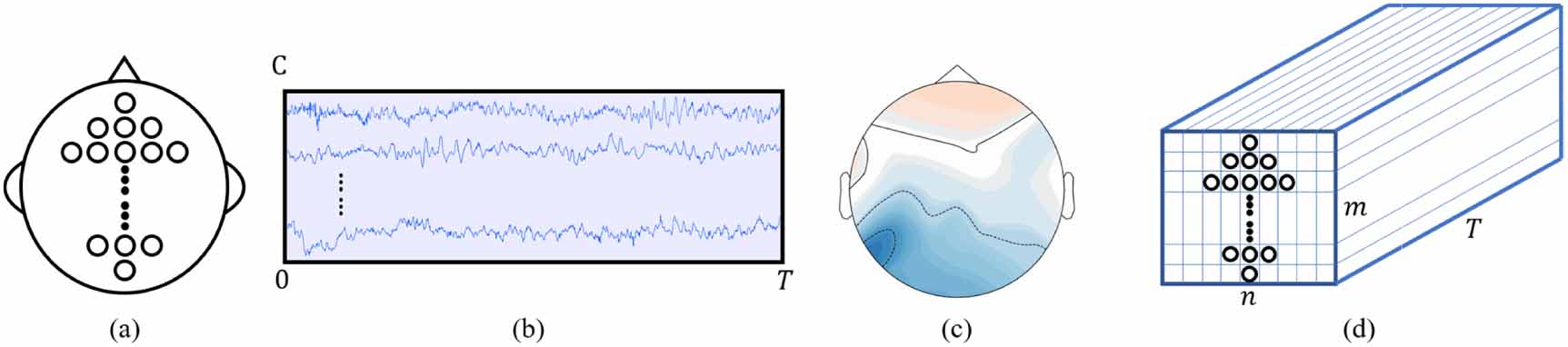 Two-branch 3D convolutional neural network for motor imagery EEG ...