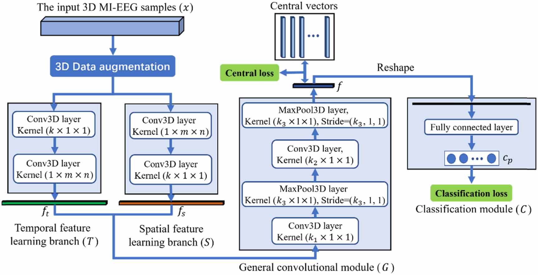 Two-branch 3D convolutional neural network for motor imagery EEG ...