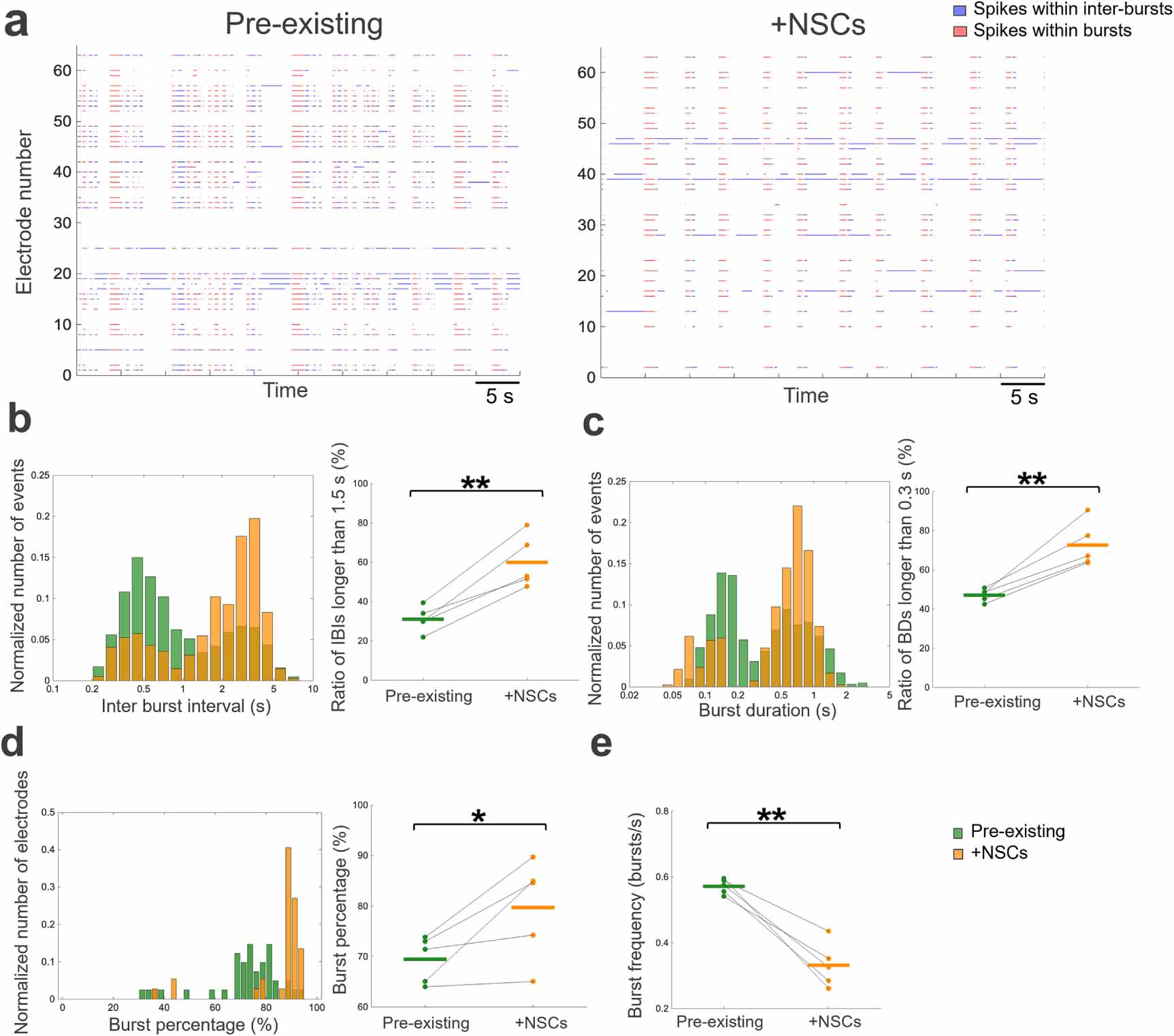 Modulation of dynamics in a pre-existing hippocampal network by neural ...
