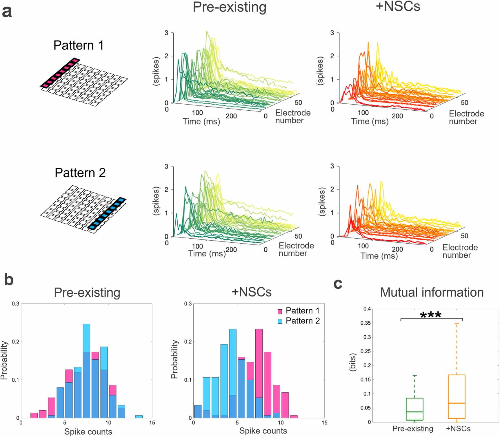 Modulation of dynamics in a pre-existing hippocampal network by neural ...