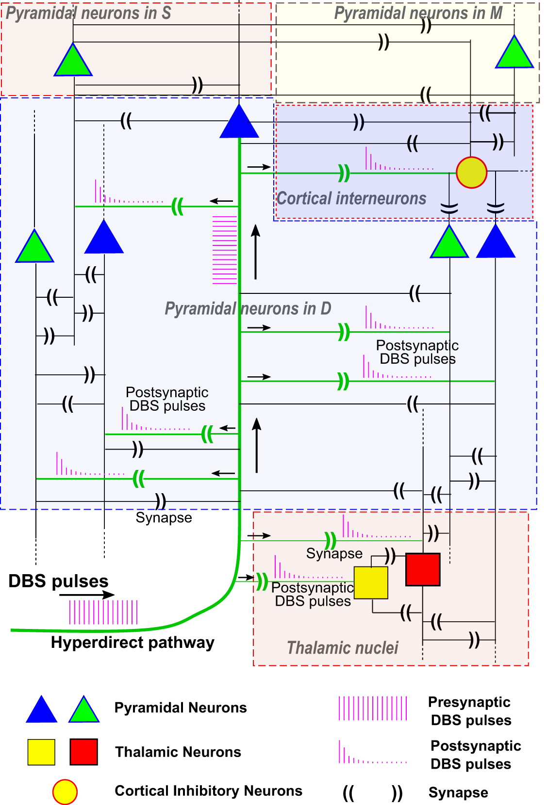 Cortical network effects of subthalamic deep brain stimulation in a ...
