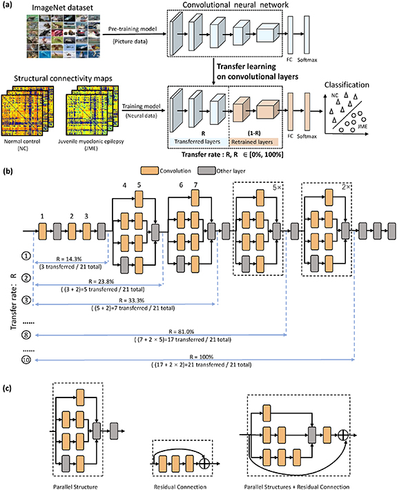 White matter structural connectivity as a biomarker for detecting ...
