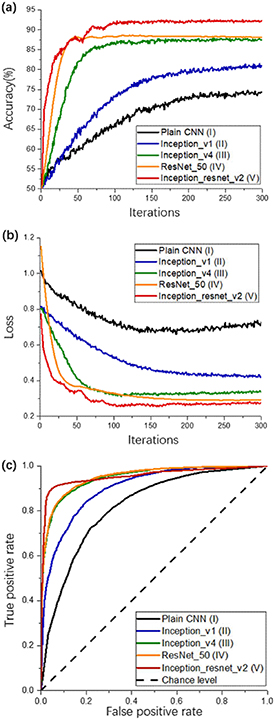 White matter structural connectivity as a biomarker for detecting ...