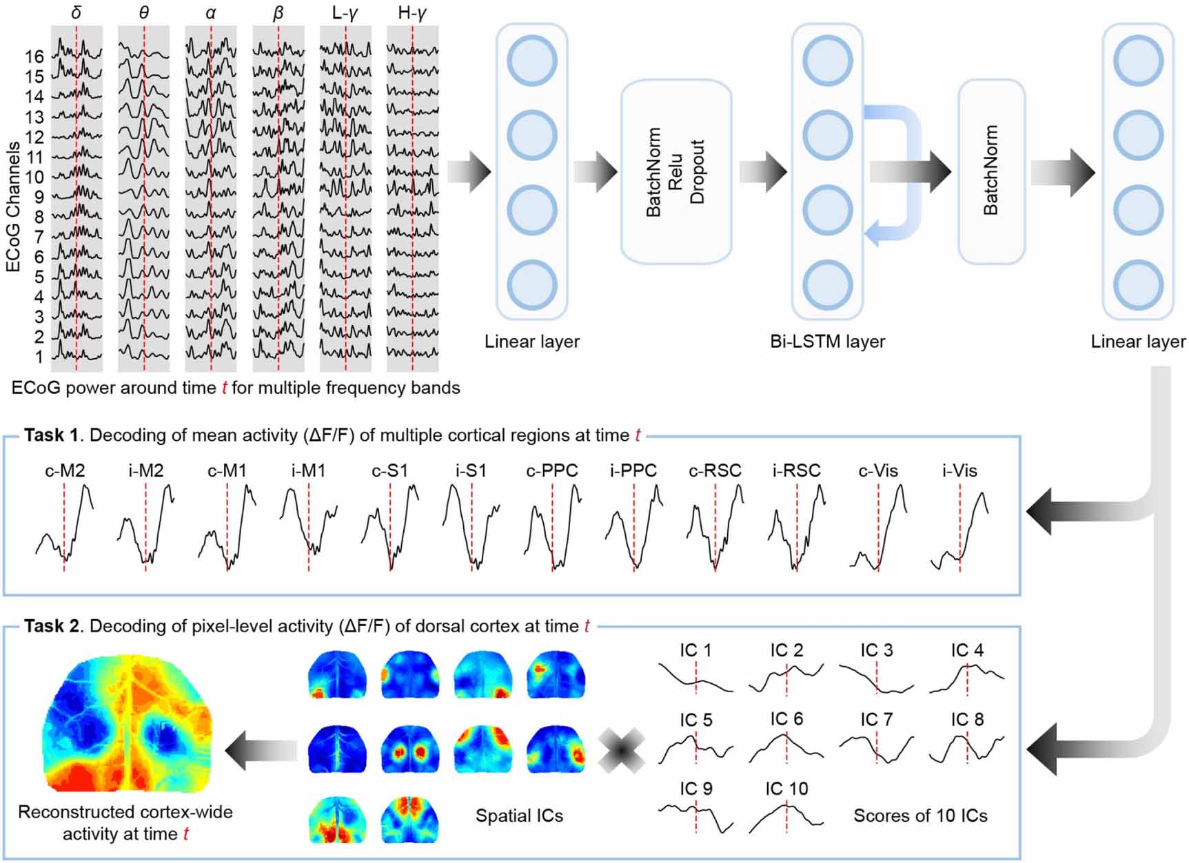 Decoding of cortex-wide brain activity from local recordings of neural ...