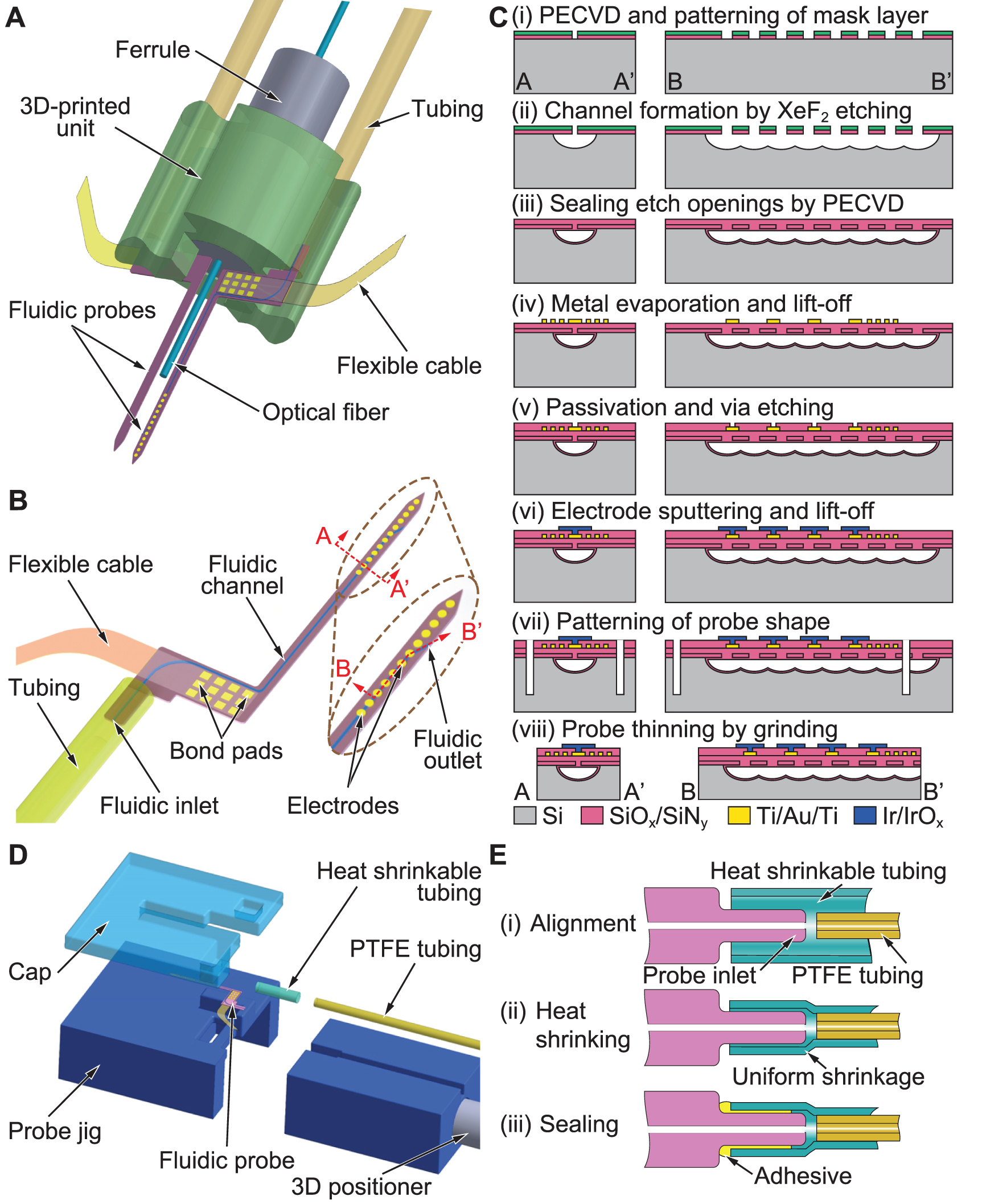 Multifunctional optrode for opsin delivery, optical stimulation, and ...