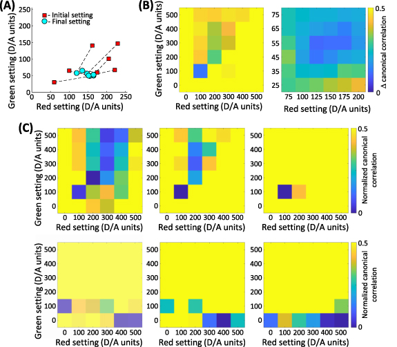 Brain-computer interface-based assessment of color vision - IOPscience
