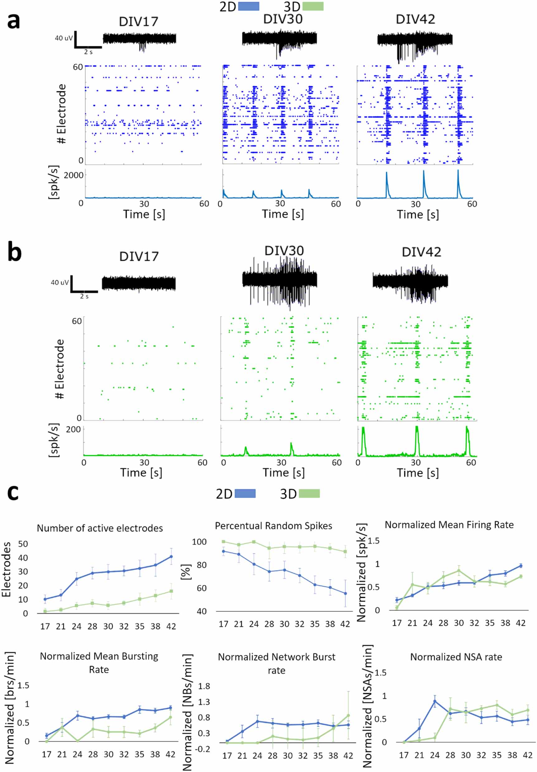 Rapid generation of functional engineered 3D human neuronal assemblies ...