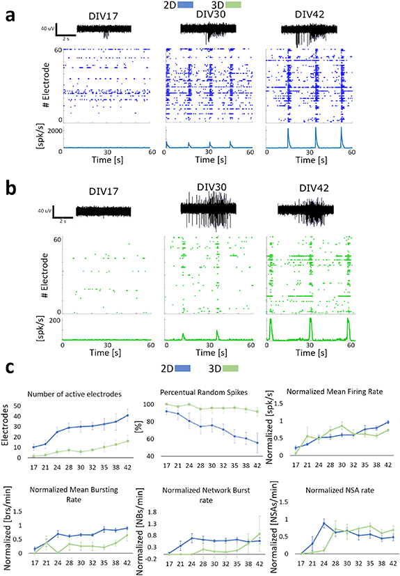 Rapid generation of functional engineered 3D human neuronal assemblies ...