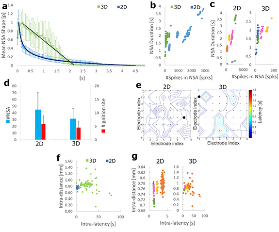 Rapid generation of functional engineered 3D human neuronal assemblies ...