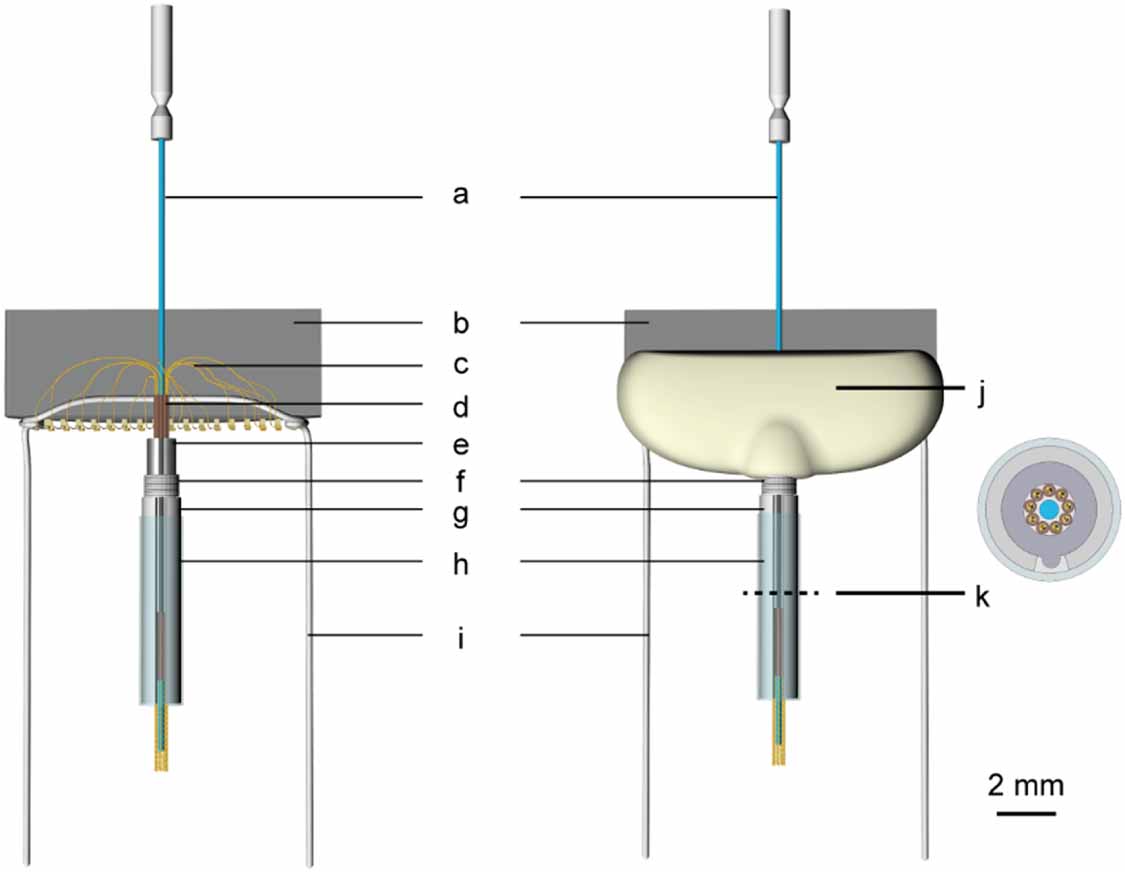 Low-cost and easy-fabrication lightweight drivable electrode