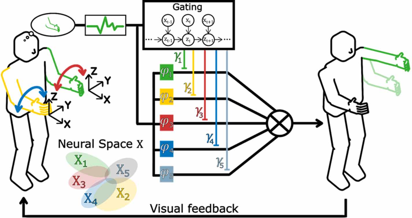 An adaptive closed-loop ECoG decoder for long-term and stable bimanual ...