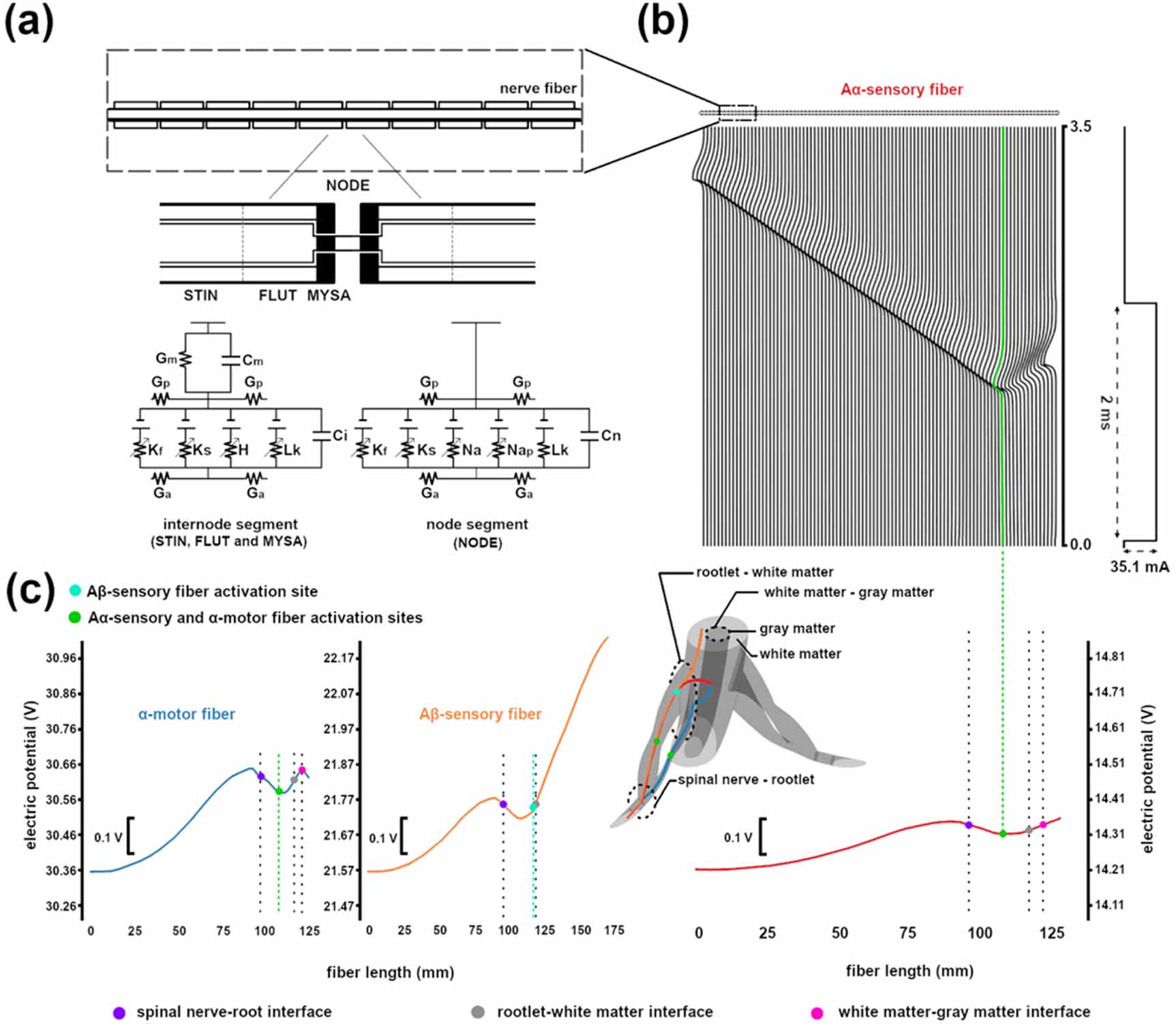 Preferential activation of proprioceptive and cutaneous sensory fibers ...