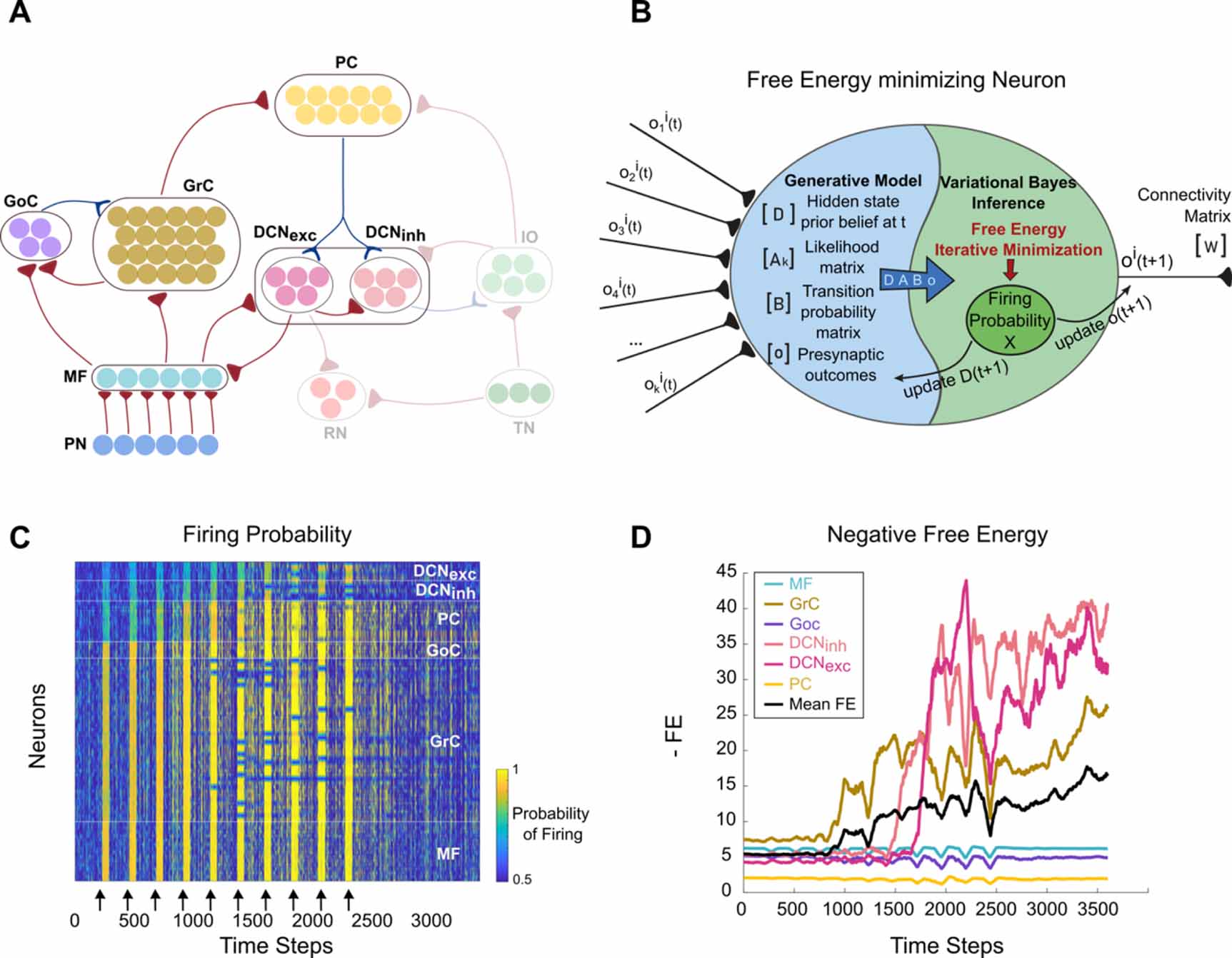 Emergence of associative learning in a neuromorphic inference network ...