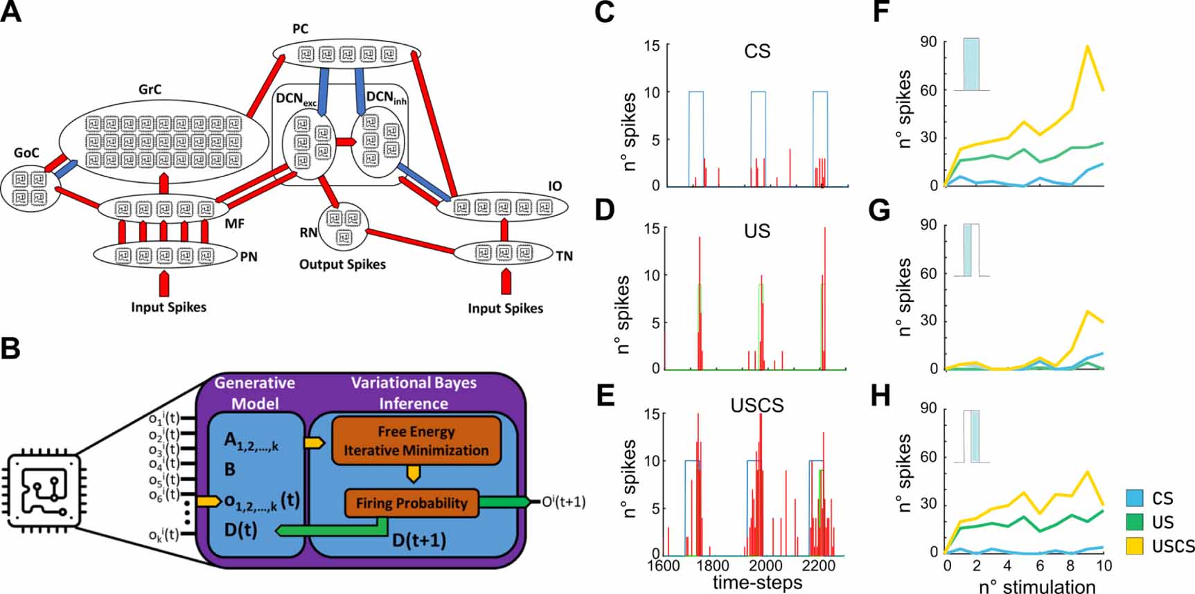 Emergence of associative learning in a neuromorphic inference network ...