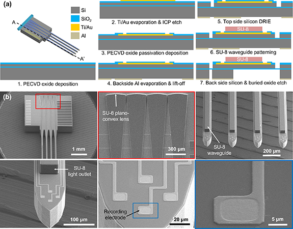 Silicon optrode array with monolithically integrated SU-8 waveguide and ...