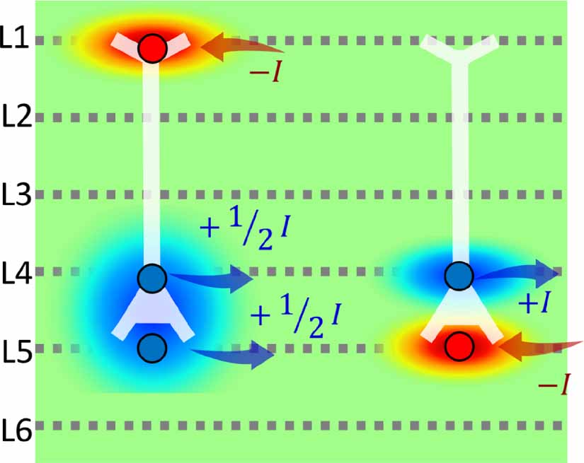 A personalizable autonomous neural mass model of epileptic seizures ...