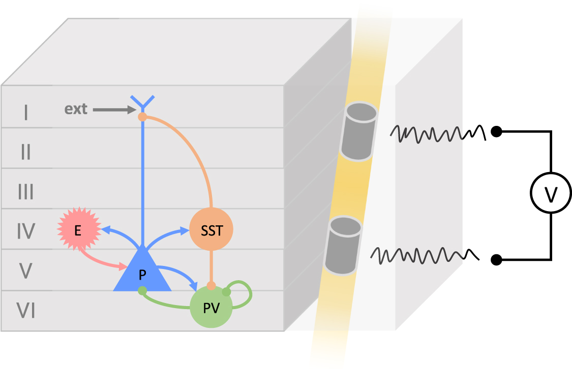 A personalizable autonomous neural mass model of epileptic seizures ...