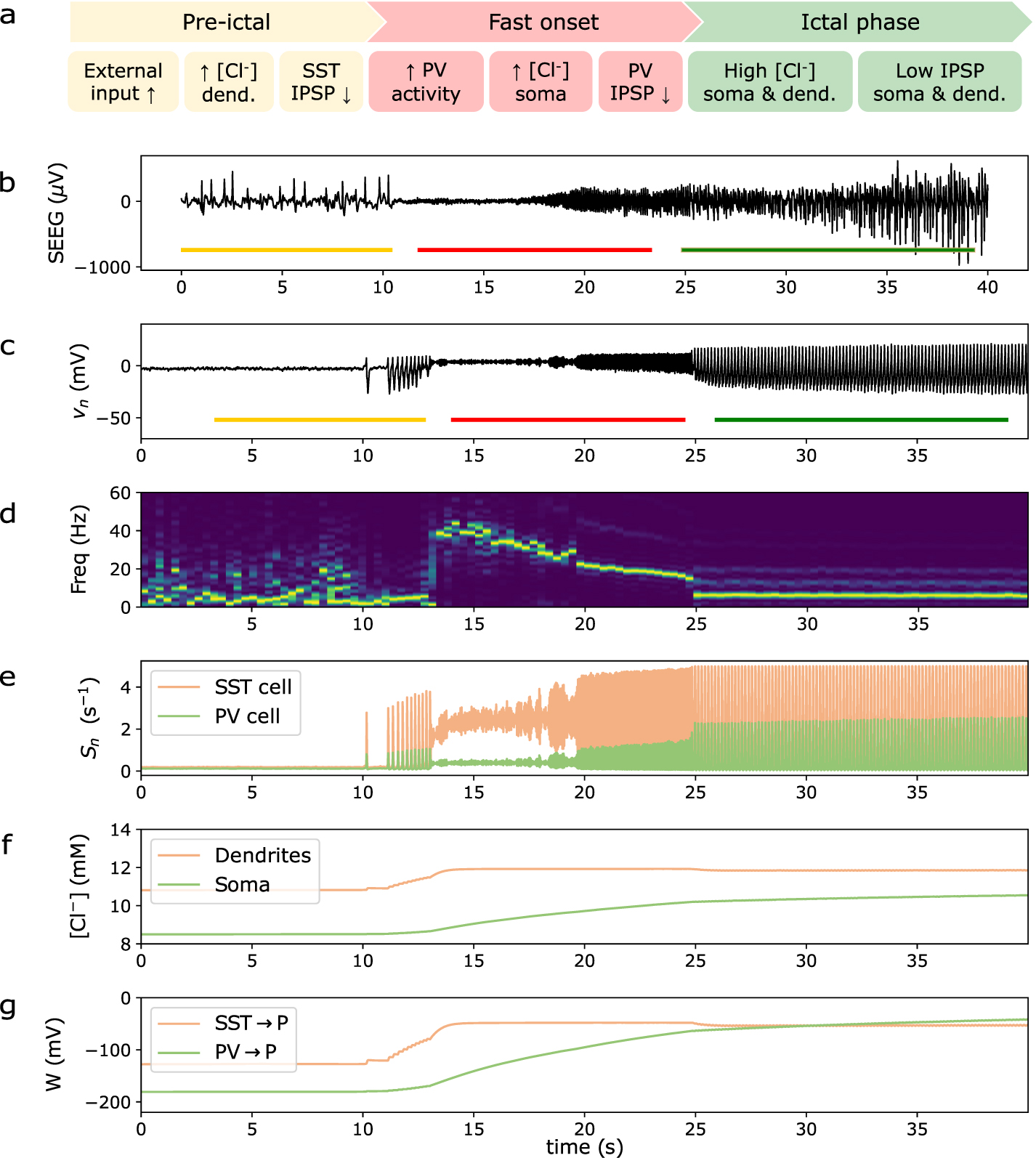 A personalizable autonomous neural mass model of epileptic seizures ...