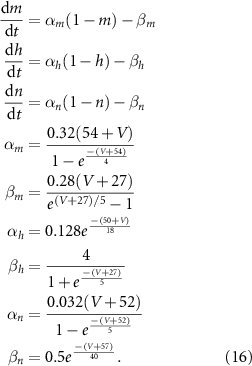 Equation (16)