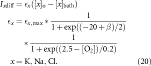 Equation (20)