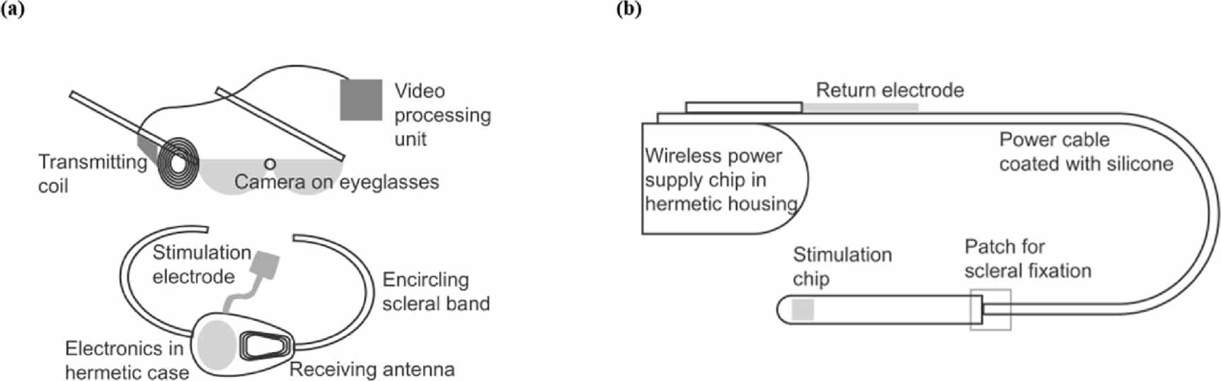 Neurostimulators for high-resolution artificial retina: ASIC design ...
