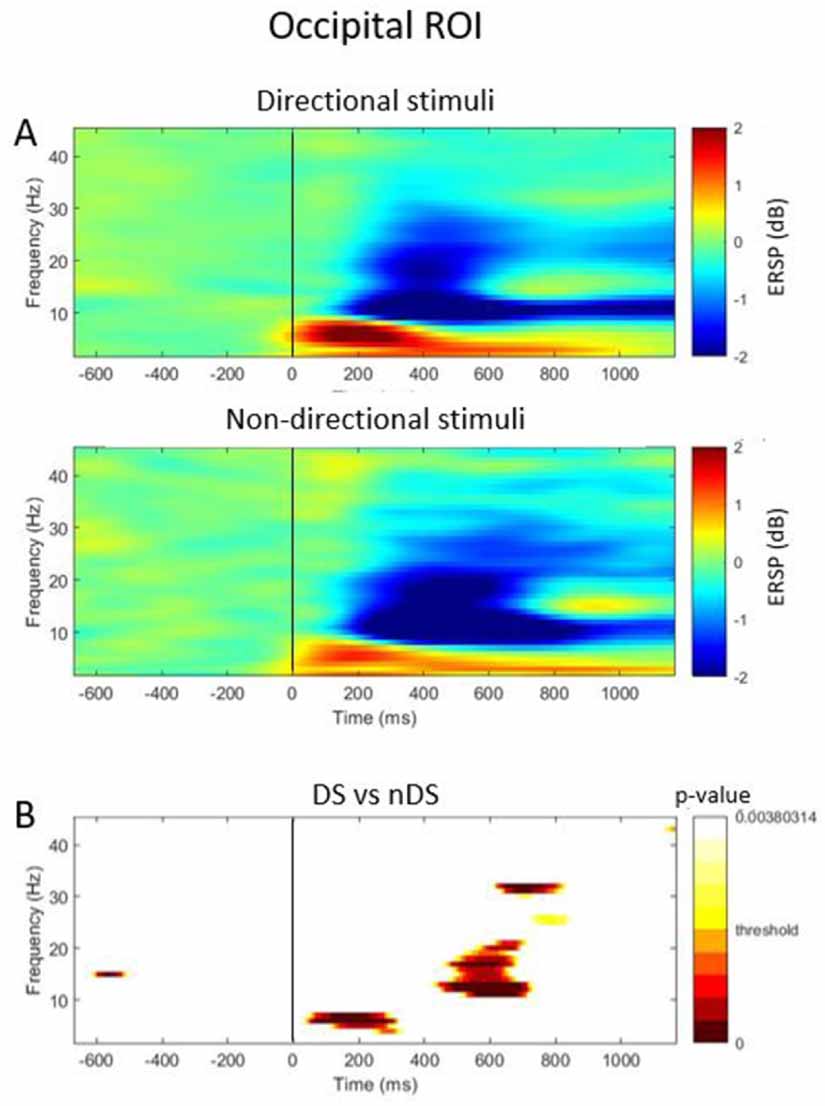 Time-frequency analysis of brain activity in response to directional ...