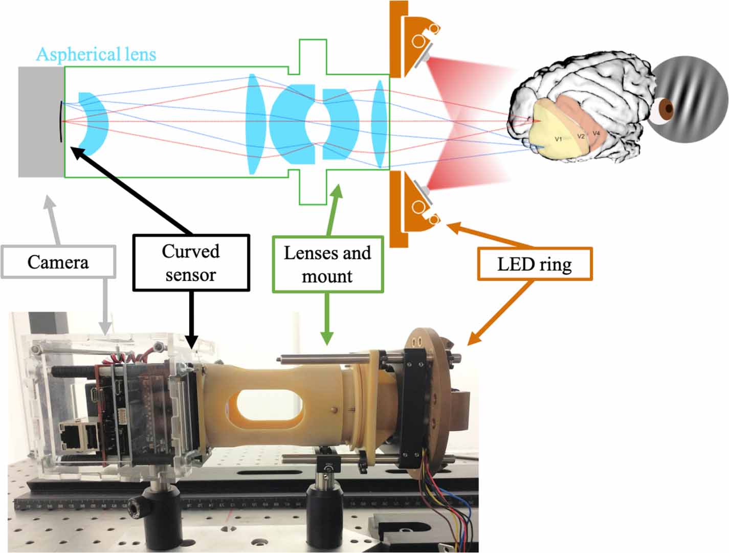 High resolution, wide field optical imaging of macaque visual cortex ...