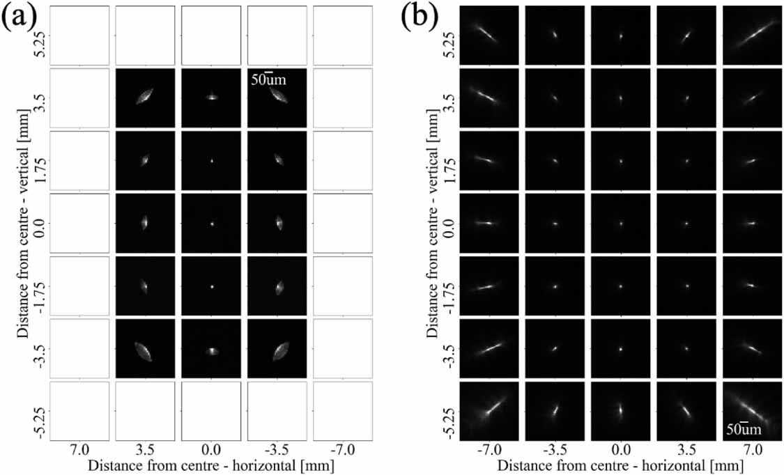 High resolution, wide field optical imaging of macaque visual cortex ...