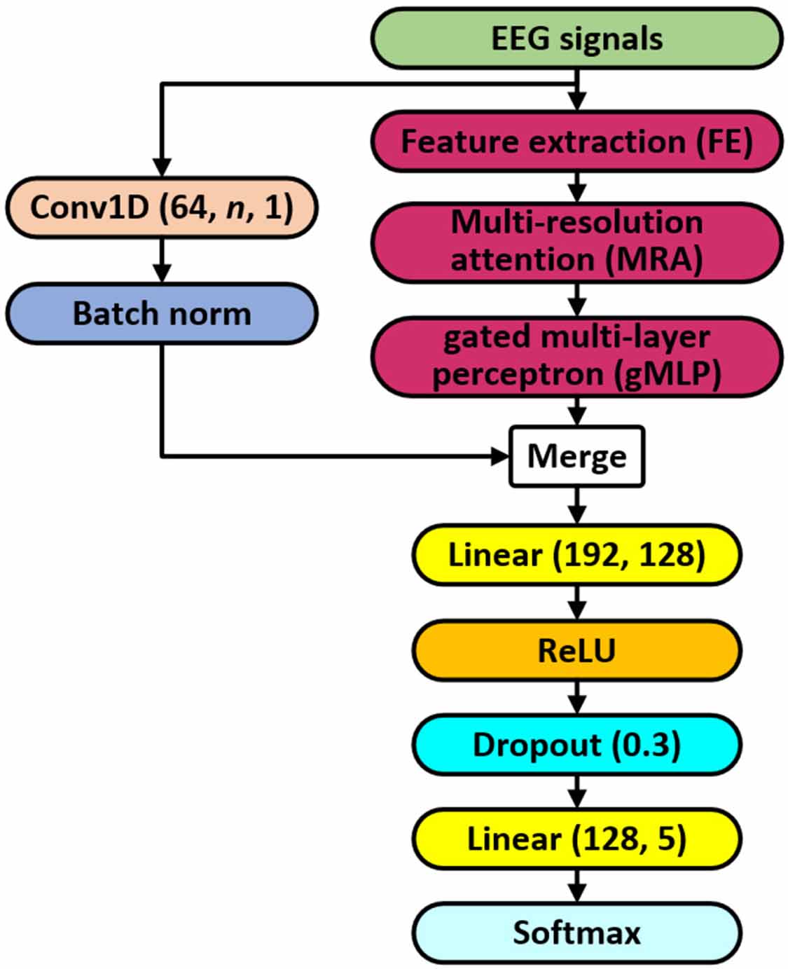 MRASleepNet: a multi-resolution attention network for sleep stage ...